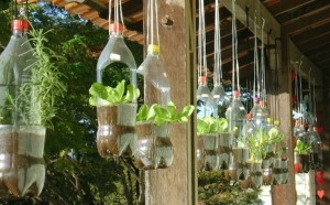 macetas-de-plástico